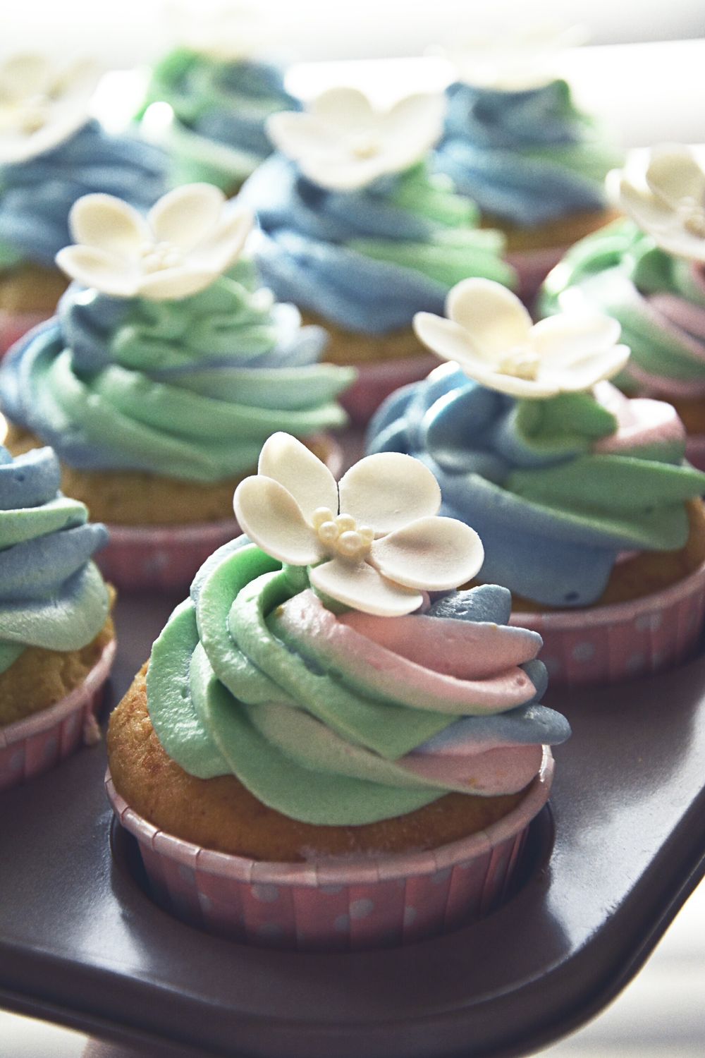 Frosted cupcakes